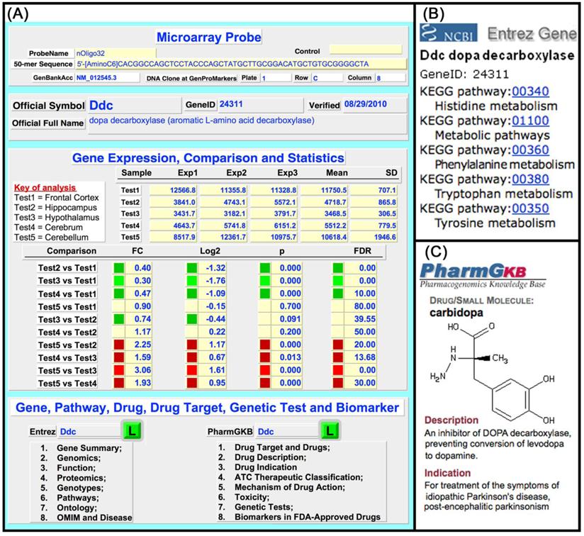 Int J Biol Sci Image