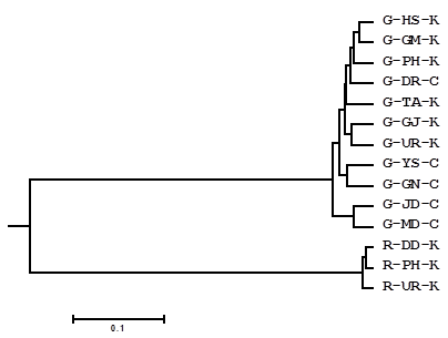 Int J Biol Sci Image