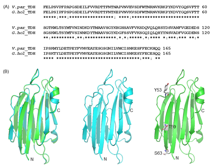 Int J Biol Sci Image