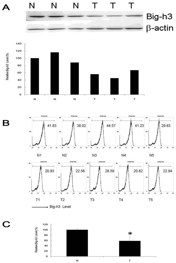 Int J Biol Sci Image