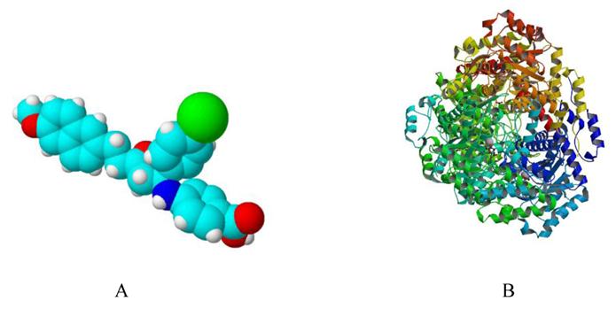 Int J Biol Sci Image