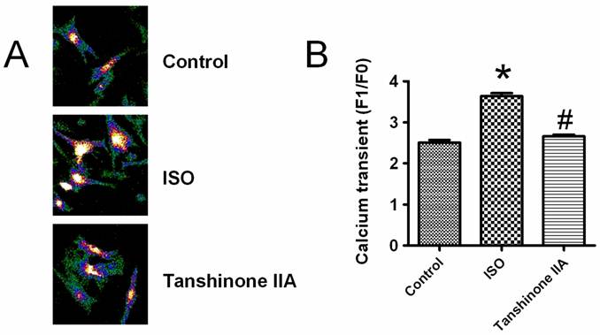 Int J Biol Sci Image