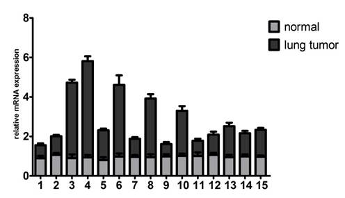 Int J Biol Sci Image