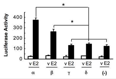 Int J Biol Sci Image