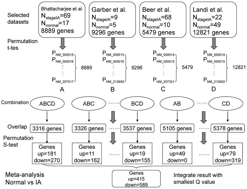 Int J Biol Sci Image