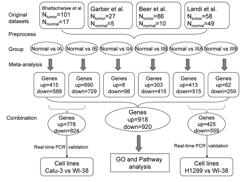 Int J Biol Sci Image