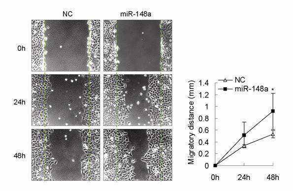 Int J Biol Sci Image