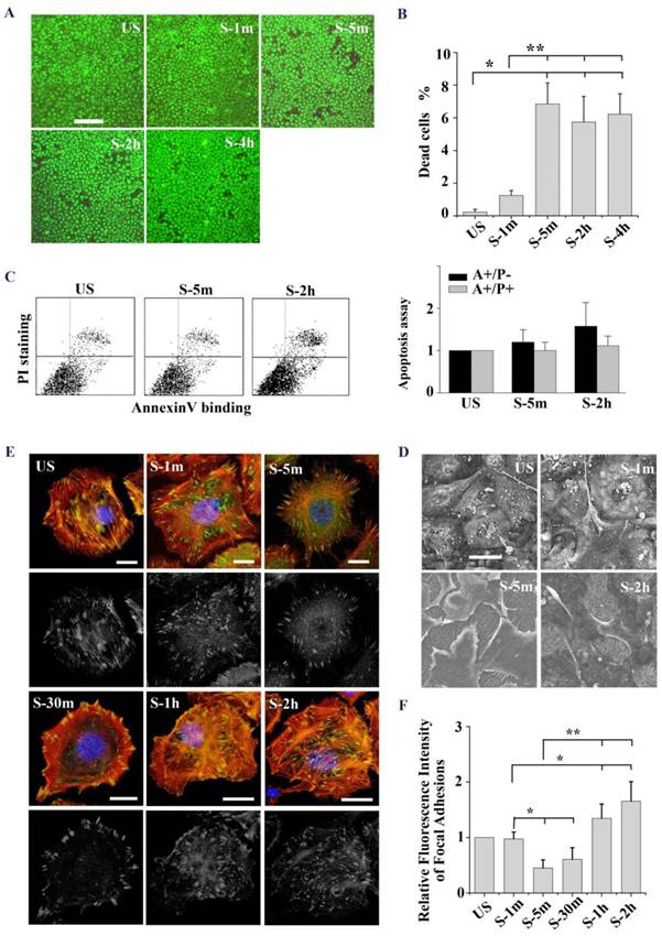 Int J Biol Sci Image