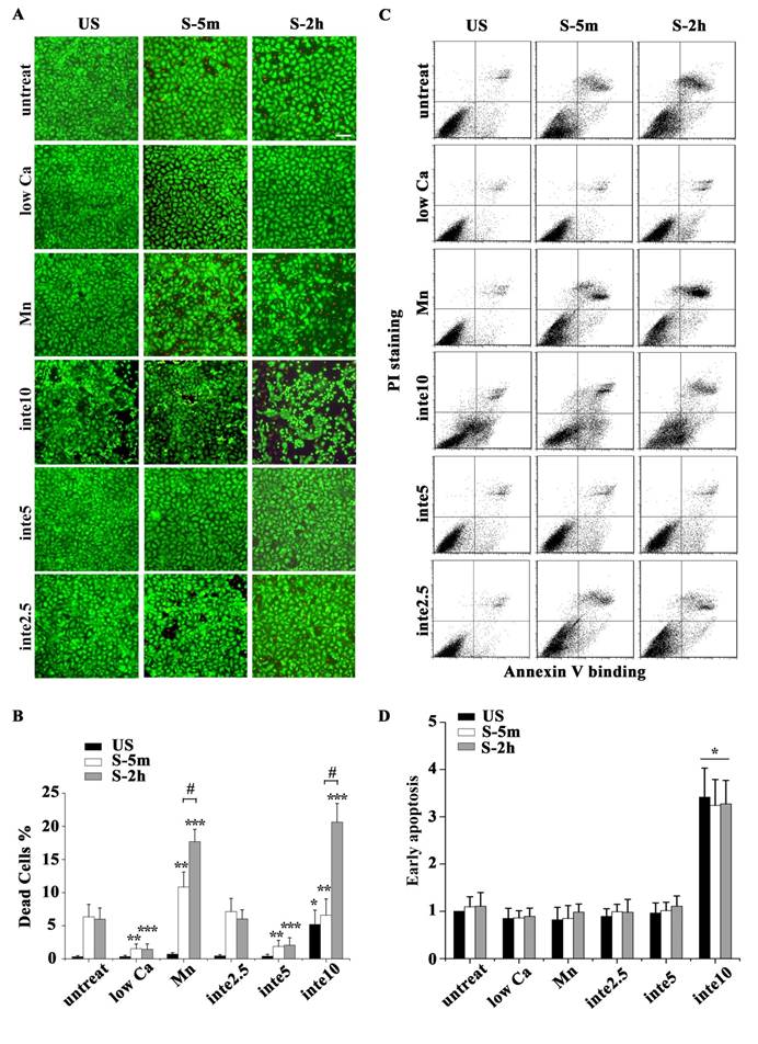 Int J Biol Sci Image