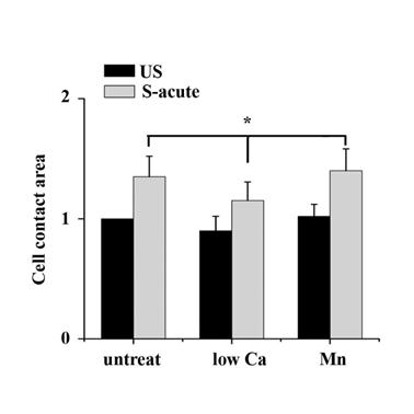 Int J Biol Sci Image