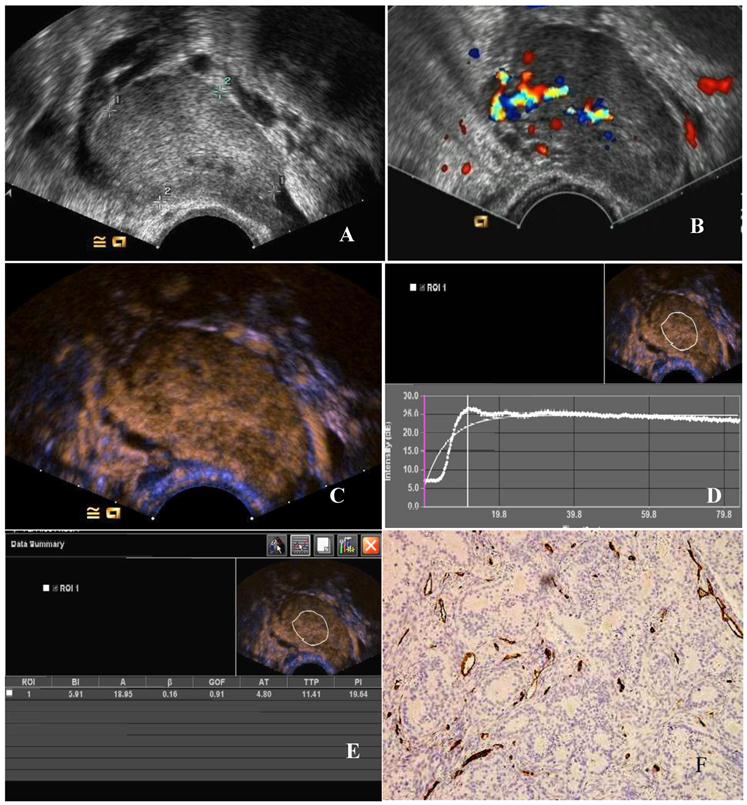 Int J Biol Sci Image