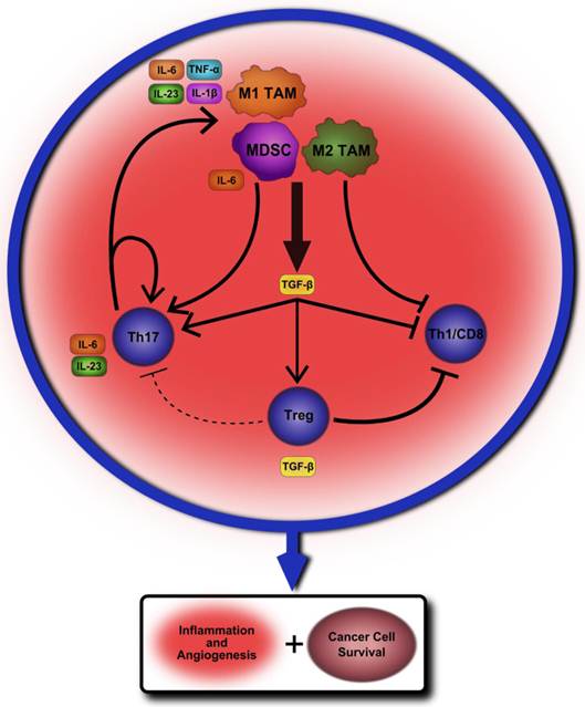 Int J Biol Sci Image