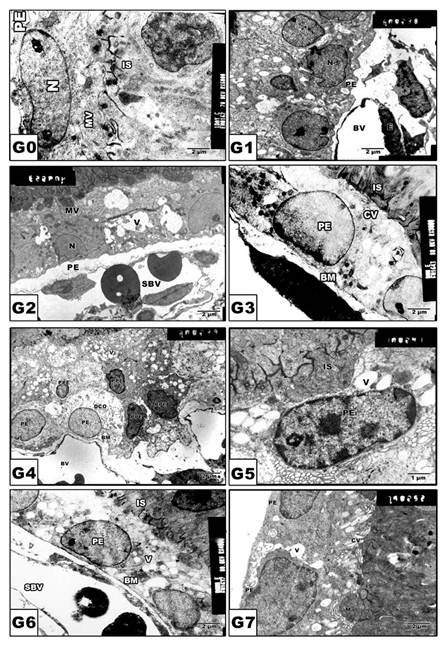 Int J Biol Sci Image