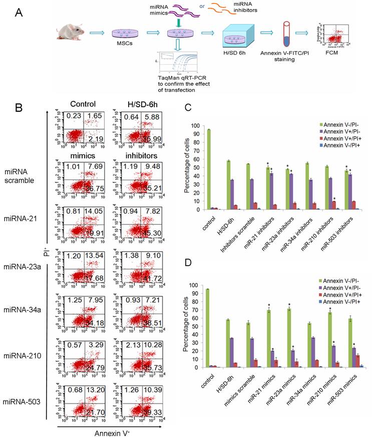 Int J Biol Sci Image