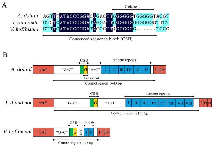 Int J Biol Sci Image