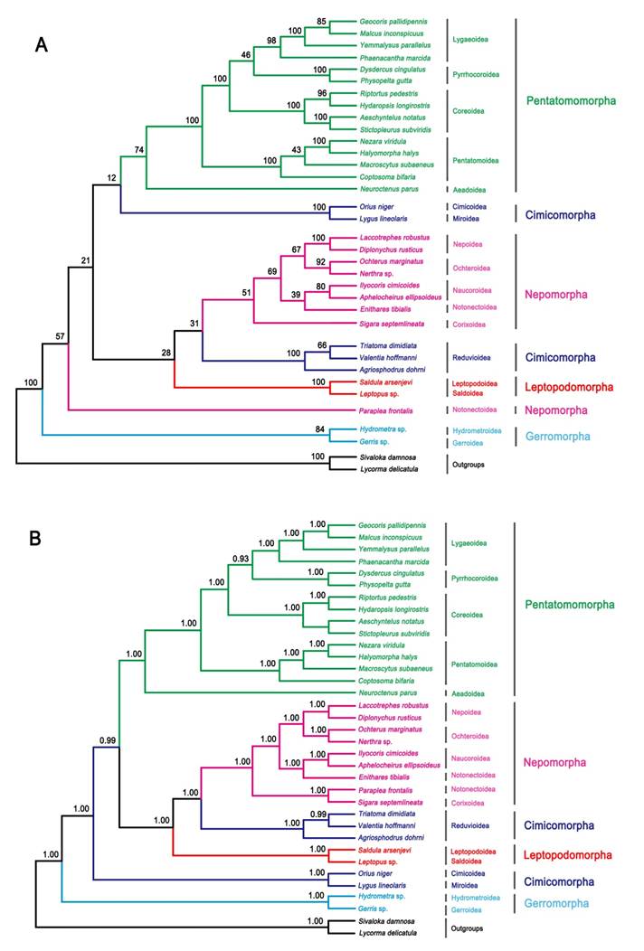 Int J Biol Sci Image