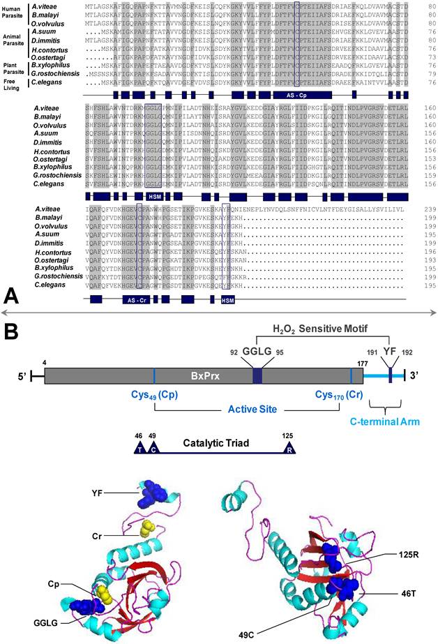 Int J Biol Sci Image