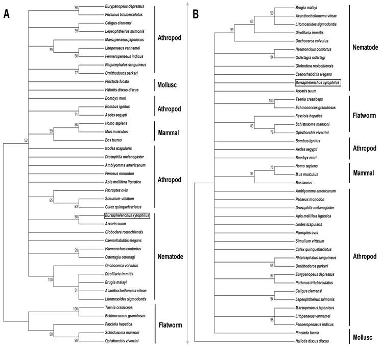 Int J Biol Sci Image