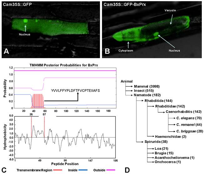 Int J Biol Sci Image