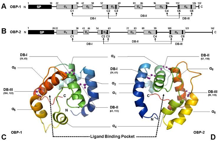 Int J Biol Sci Image