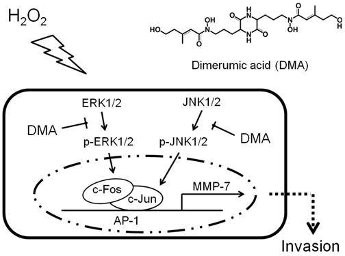 Int J Biol Sci Image