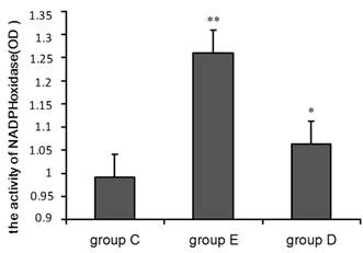 Int J Biol Sci Image