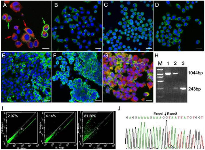 Int J Biol Sci Image