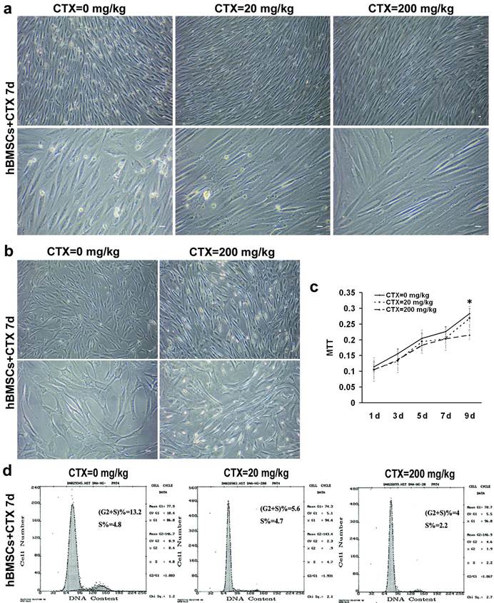 Int J Biol Sci Image