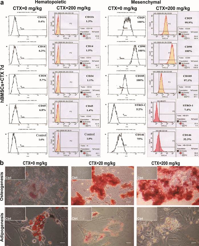 Int J Biol Sci Image