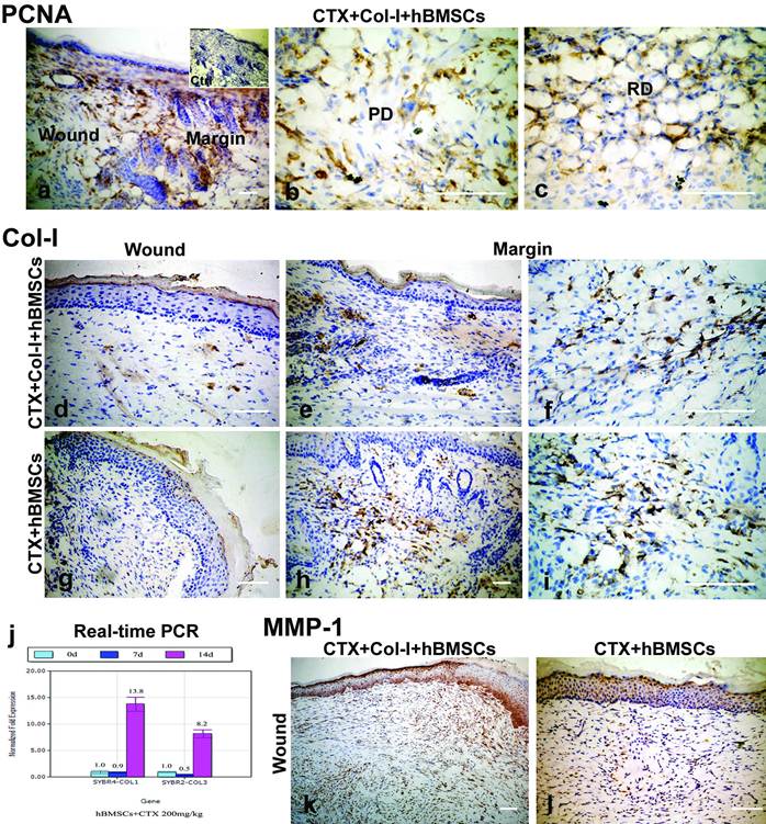 Int J Biol Sci Image