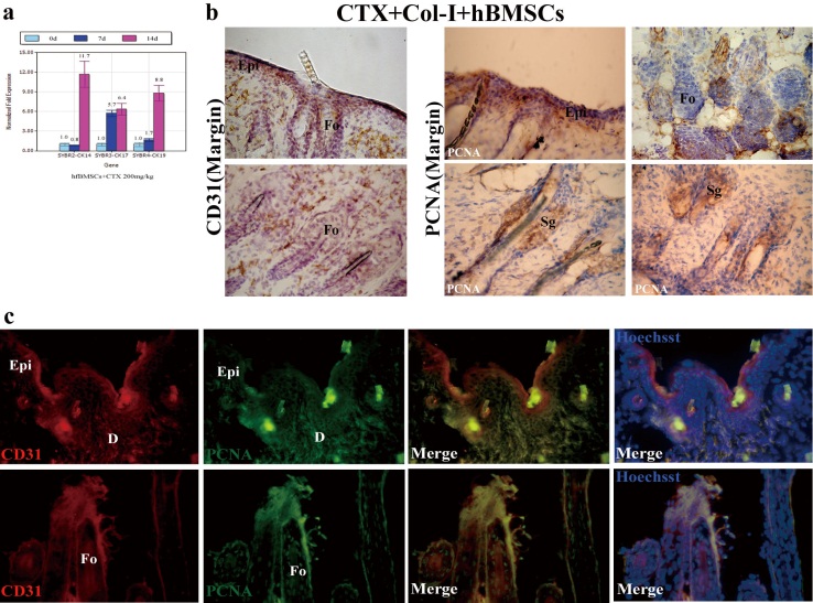 Int J Biol Sci Image