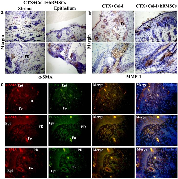 Int J Biol Sci Image