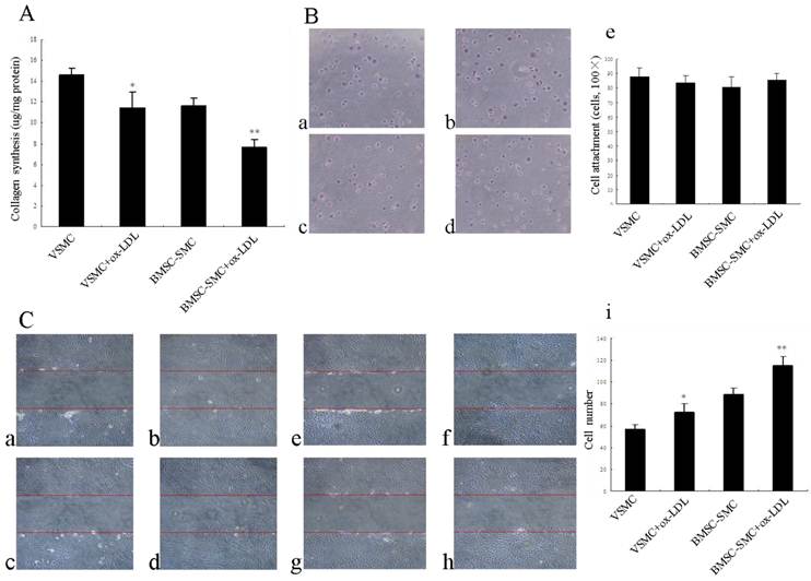 Int J Biol Sci Image