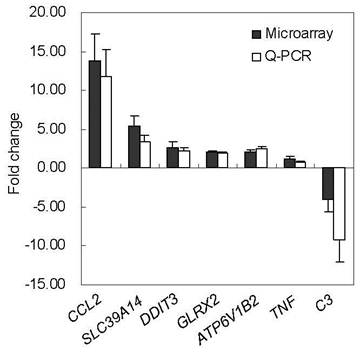 Int J Biol Sci Image