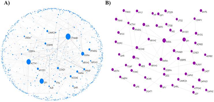 Int J Biol Sci Image