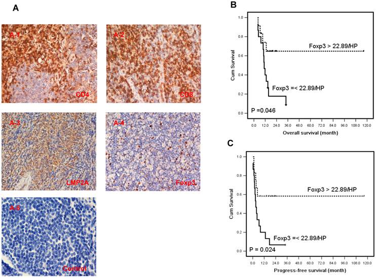 Int J Biol Sci Image