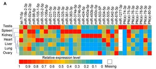 Int J Biol Sci Image