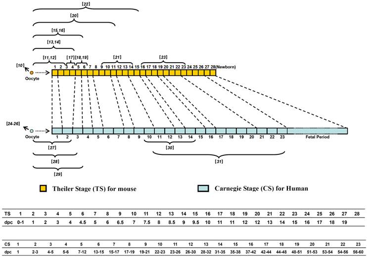 Int J Biol Sci Image