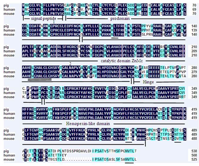 Int J Biol Sci Image