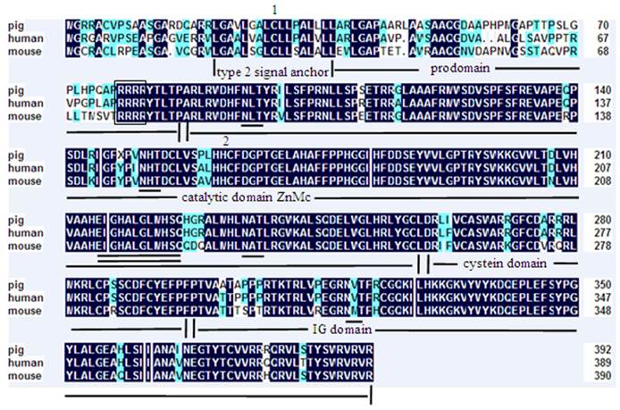 Int J Biol Sci Image