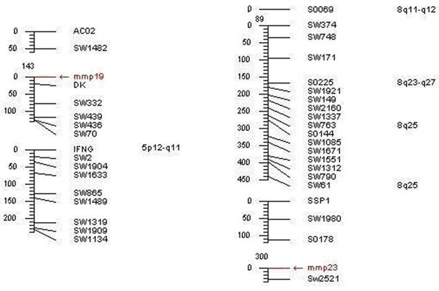 Int J Biol Sci Image