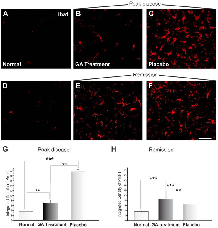 Int J Biol Sci Image