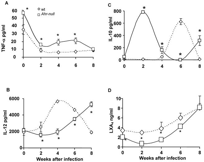 Int J Biol Sci Image