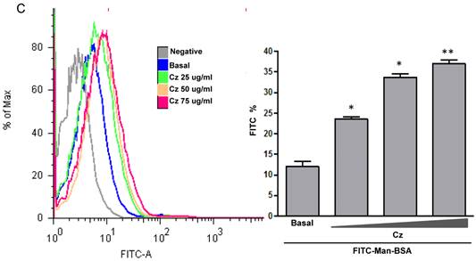 Int J Biol Sci Image