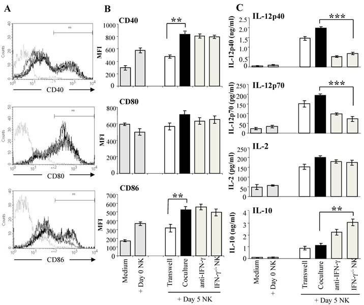 Int J Biol Sci Image