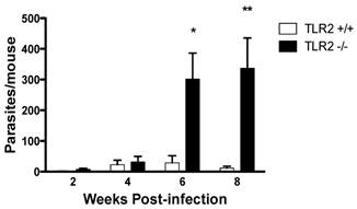 Int J Biol Sci Image