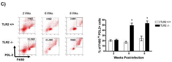 Int J Biol Sci Image