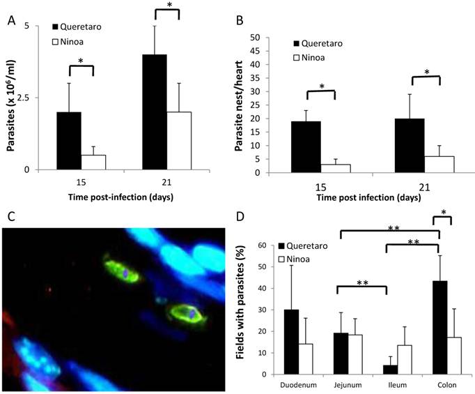 Int J Biol Sci Image