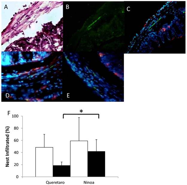 Int J Biol Sci Image