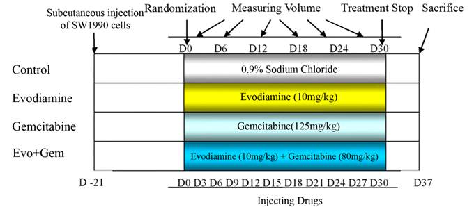 Int J Biol Sci Image